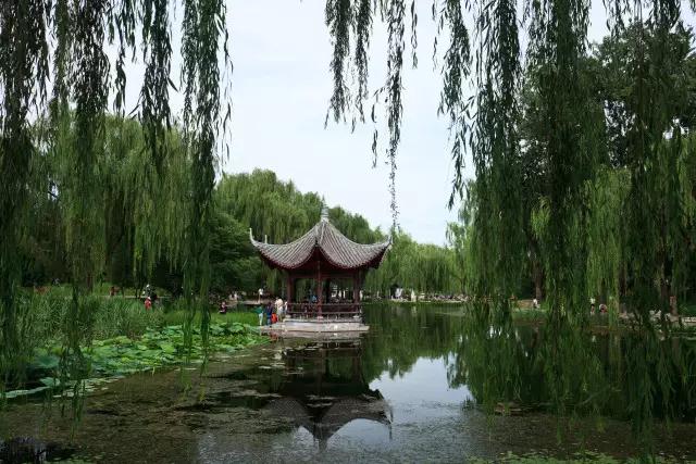 住在家门口的著名养老机构，会有不一样的体验吗？