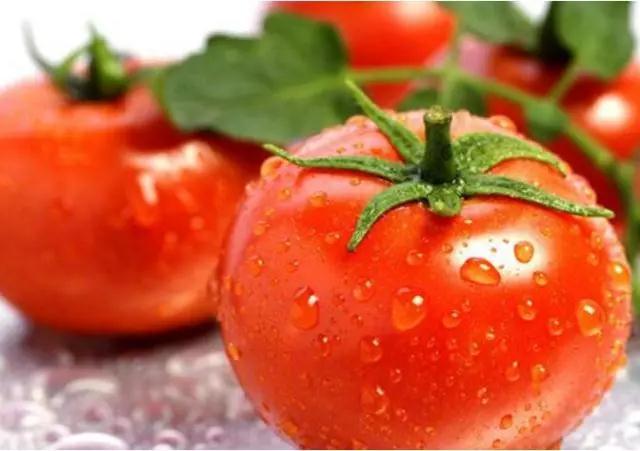 成都市养老公寓之养生之道食谱篇 成都市养老公寓之养生之道食谱篇