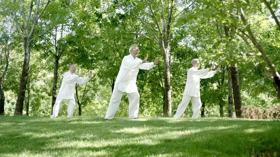 椿萱茂获选2018中国生态康养十大品牌出炉!